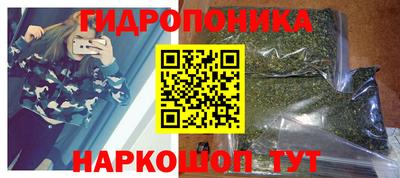 прущие грибы Пыть-Ях